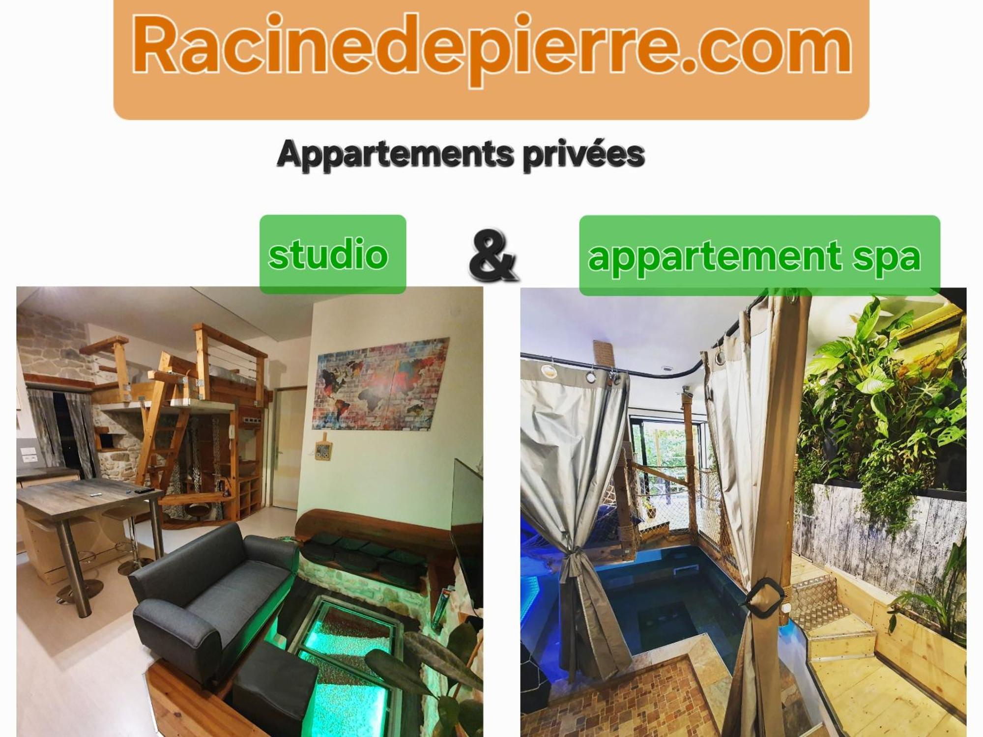 Racine De Pierre Castres (Tarn) Exterior foto